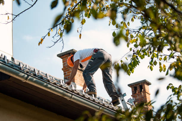 Best Roof Leak Repair  in Jacinto City, TX