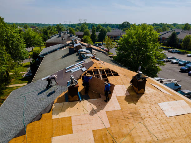 Best Commercial Roofing Services  in Jacinto City, TX