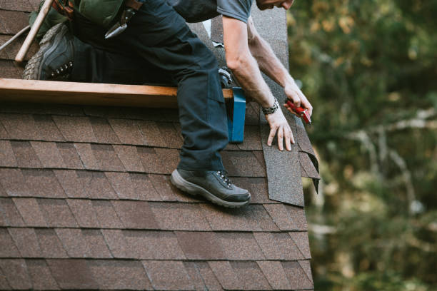 Best Metal Roofing Contractor  in Jacinto City, TX