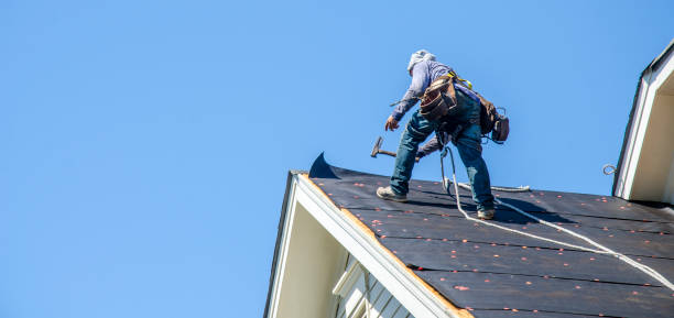 Best Shingle Roofing Installation  in Jacinto City, TX